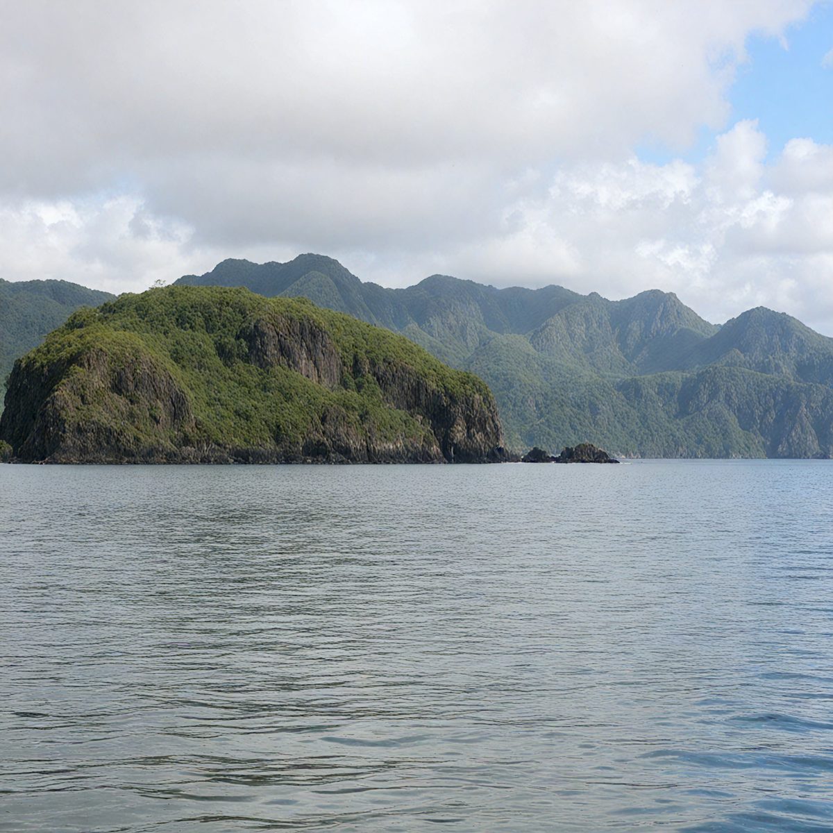 76f6314d-69e7-47be-8e18-8e069bb86041-island-comoros-rinsed-e72f57_250318195903_Filename Text 2_02416_Filename Text 3_result.jpg